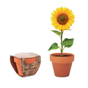Vaso Sunflower VASO SUNFLOWER