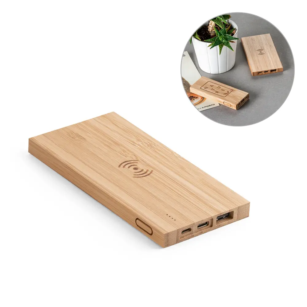 Power Bank Fitch
