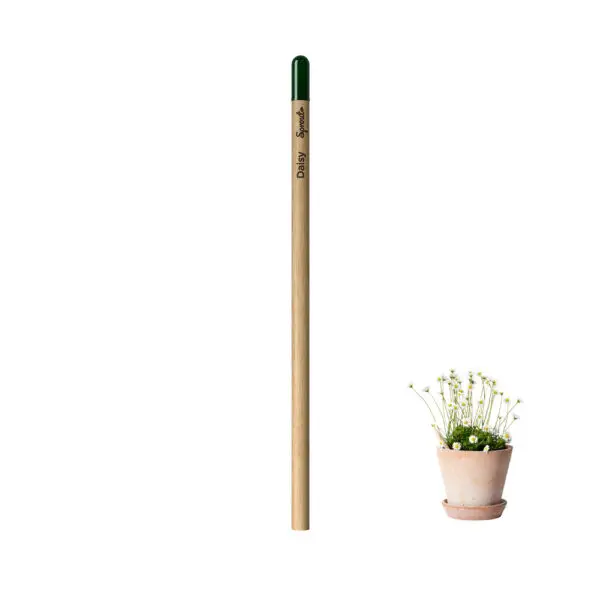 Lápis Sprout