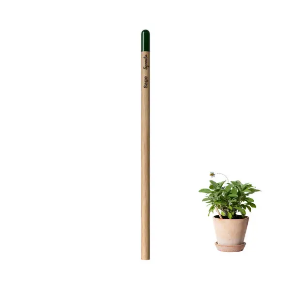 Lápis Sprout