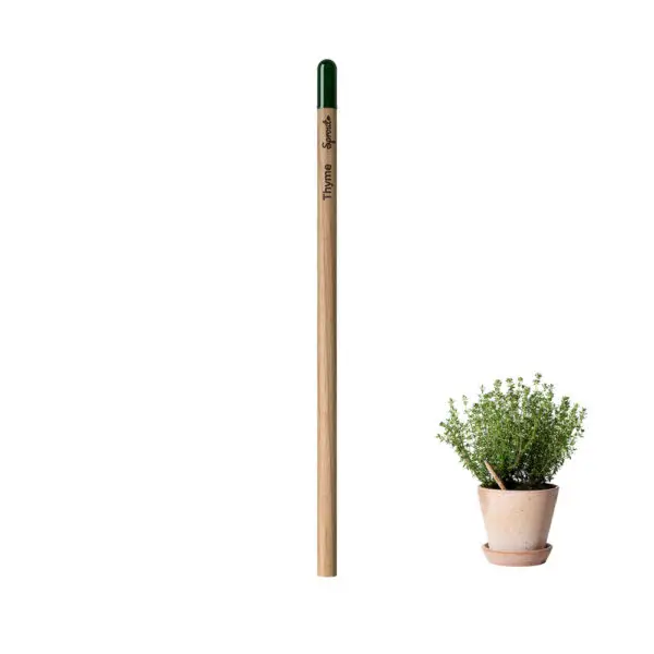 Lápis Sprout