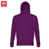 Sweatshirt com capuz THC Phoenix